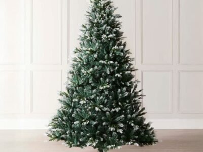 evergreen-snow-flocked-tip-christmas-tree.jpeg